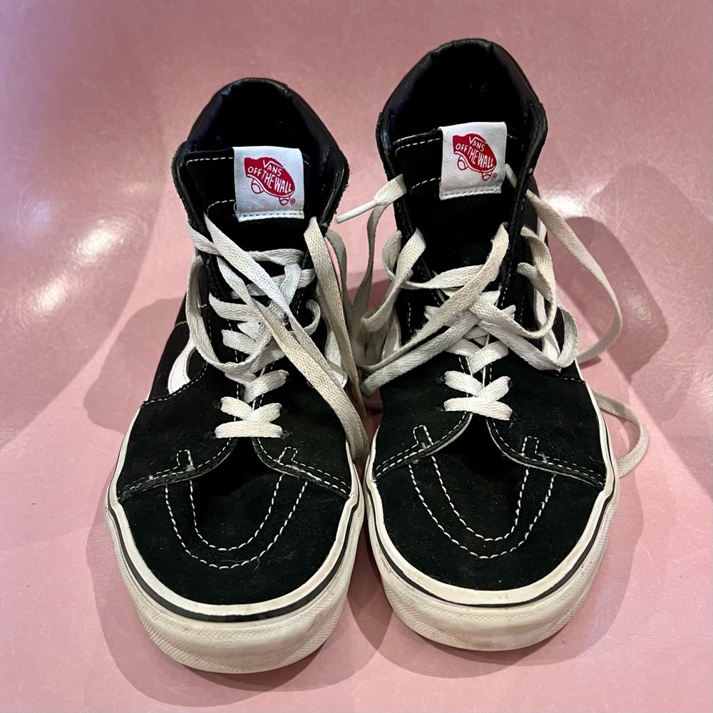 Vans Skate Hi-top
